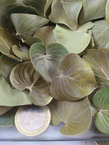 Coracao leaves natural 150 gr.